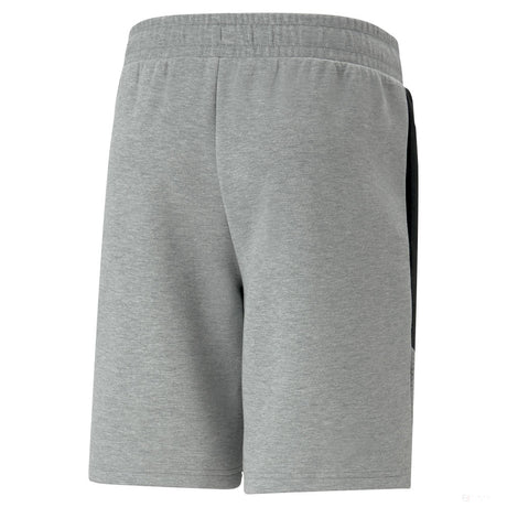 BMW MMS shorts, Puma, 8.6, grey